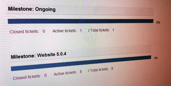 Website milestones